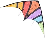 Günther Flugspiele 1088 - Sportlenkdrachen Top Loop, ca. 130 x 69 cm, Drachen aus reißfestem Ripstop-Polyester, für Kinder ab 8 Jahren, inkl. hochwertigen Schnüren auf Lenkrollen