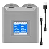 Fortschrittliche Doppel-Batterie-Ladezentren für Akku mit benutzerfreundlichem Display, Zuverlässigkeitsleistungen