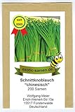 Schnittknoblauch, chinesisch - Bienenweide - Allium tuberosum (200 Samen)