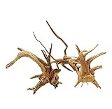 Stück Aquarium Treibholz Äste Naturholz Reptilien Stamm Holz Aquarium Dekoration Pflanzenstumpf Ornament Landschaftsbau Dekoration (8-10 cm) Lovely and practical