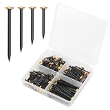 150 Stück Bildernägel 20/25/30/40mm Betonnägel Rostfreie Stahlnägel mit goldfarbenem Kopf Nägel Bilder Aufhängen Nägel für Betonwände