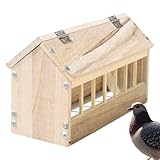 Vogelschlitz aus Holz: Vogelfutterspender mit großem Fassungsvermögen für Hühner, Enten und Tauben: Der robuste, dicke K reduziert Abfall und pflegt