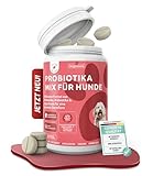 Prä & Probiotika Hund [MADE IN GERMANY, ZUCKERFREI & LABORGEPRÜFT] Darmkur mit 670 Mrd. KBE & Präbiotika – stärkt Darmflora & Verdauung – ideal nach Wurmkur, Grasfressen & Sodbrennen (180g (1er Pack))