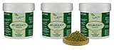 VITA IDEAL Vegan® HELMKRAUT - 3x 300g PULVER - Scutellaria lateriflora - Tagesportion 700mg HELM - Kraut, natürlich, pflanzlich & ohne Zusatzstoffe, Inklusive Messlöffel.