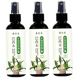 Zimmerpflanzendünger 3-teilig Brasilianisches Holzpflanzenfutter Zimmerpflanzendünger für Glücksbambus Brasilianisches Holz- Flüssigdünger 100 ml