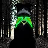 TRIPOLACO Hundegeschirr Leuchtend Aufladbar, Reflektierend Hunde Geschirr, Atmungsaktiv Beleuchtete Brustgeschirr für Kleine Mittlere Große Hunde (S)