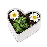 Herz Pflanzschale Vintage Creme-weiß 25 x 24 x 7,5 cm wetterfeste Grabschmuck Blumen-Schale