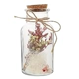 Toyvian Wunschflasche aus Transparentem Glas mit Korken Kleine DIY Wishing Bottle Dekorative für Geschenke Aufbewahrung und Bastelprojekte Langlebig und Vielseitig Einsetzbar