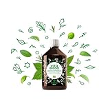 Vita Biosa Original 500 ml in Bio Qualität - Fermentgetränk mit Milchsäurebakterien aus 19 Kräutern - Mikroorganismen für ein gutes Bauchgefühl - Zutaten aus kontrolliert biologischem Anbau (kbA)