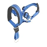 Dcluluwe MaulköRbe für Hunde, Antibell-Hundehalsband, Atmungsaktives HundetrainingsgeräT, Maulkorb-Set Aus Nylon mit Reflektierenden Streifen, XL-Blau