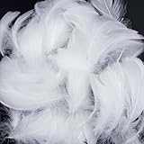 Tcnzdy 200 Stück Federn, Federn zum basteln, 5~8cm, Flauschig Bastel Federn basteln, Natürliche Federn weiß für Christmas, Engelsflügel, Kopfschmucksfedern
