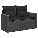 vidaXL Gartensofa 2-Sitzer, Sofa mit Rückenkissen Sitzkissen, Terrassensofa mit abnehmbarem waschbarem Bezug, Gartenmöbel Sofagarnitur Gartengarnitur, Schwarz Poly Rattan