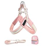 Gwtdtoad Hundegeschirr und Führleine | Verstellbares Haustier Brustgeschirr Hundegurt | Ergonomischer Sitz Sicherheit Mit Tasche Für Training Spaziergänge Aktivitäten