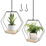 BDHYYM 2 Stück Blumenampel Hängend Innen,Metallring mit Holzsockel,Hängender Blumentopf Hängend,Hängetopf für Pflanzen,Hängeampel Blumen,Blumenampel Innen,Hängepflanzen Topf,Aufhängehaken Inklusive