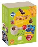 Pebaro Set Kastanienbohrer 5 Kastanien Bastelset, Kastanienhalter, 2 Kastanienbohrer/Nagelbohrer, ausführliche Anleitung, Löcher in Kastenien Bohren, für Kindern, inkl. 190 Zahnstocher