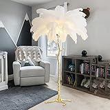 1,70m Höhe Feder Stehlampen, Wohnzimmer Standard Federlampe, einfache moderne einfache Straußenhaar-Stehlampe Schlafzimmer Schlafzimmer Schlafzimmer (Color : White)