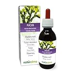 Blasentang (Fucus vesiculosus) Thallus (Alge) Alkoholfreier Urtinktur Naturalma - Flüssig-Extrakt Tropfen 120 ml - Nahrungsergänzungsmittel - Veganer