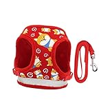 BESPORTBLE Reflektierendes Haustiergeschirr Für Kreatives Brustgeschirr Mit Bequemer Passform Und Zugleine Rot S Für Sicheres Spazieren Und Haustierzubehör