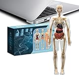 Menschliches Körpermodell, interaktive Anatomie für Kinder, Lernwerkzeuge mit Knochen- und Organdetails für Schule, Klassenzimmer, Zuhause, Heimschule, Aktivitäten, 29 x 10 cm