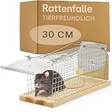 Praknu Rattenfalle Lebendfalle 30 cm Groß aus FSC® Holz - Tierfreundlich & Wiederverwendbar - Sofort Einsatzbereit - Für Ratten & Wühlmäuse