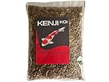 KENJI KOI Snack Mehlwürmer 5 L | Hochwertiges Naturfutter für japanische Koi, Goldfische, Wildvögel, Reptilien | Leckerli zur Fütterung aus der Hand | Vogelfutter | Fischfutter | Aquaristikfutter