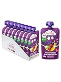 FruchtBar Bio Quetschie Himbeere, Heidelbeere, Traube, Banane, Apfel, Hafer, Frucht-Püree im Quetschbeutel für Babys ab 6 Monaten & Kinder, 8x 100g