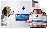 RECOACTIV Gelenk Tonicum für Hunde, 6 x 90 ml - flüssige Gelenktablette zur Unterstützung bei Osteoarthritis (schmerzhafte, entzündliche Prozesse), mit Grünlippmuschel, Gag, MSM & Teufelskralle