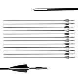 biubiusot 12er Pfeile für Bogenschießen 31 Zoll Bogenpfeile Jagdpfeile Pfeile Übungspfeile Fiberglaspfeile für Anfänger Pfeil und Bogen Zielübung(schwarz)