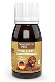 NATUREFLOW Teufelskralle für Hunde 100ml Flüssig - Made in Germany, Einfache Dosierung - Premium Unterstützung für Gelenke, Bewegungsabläufe, Verdauung