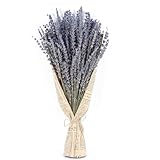 Getrocknete Lavendel-Bündel, rockenblumen, Getrocknete Blumen, Trockenblumen zum Basteln, Künstliche Lavendel Blumen Deko, Dekorative Blumenstrauß Für Kunsthandwerk, Hochzeit Oder Jede Gelegenheit