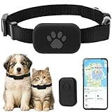 DAMIGHT GPS Tracker Katze, Mini-Haustierortungsgerät für Katzen Hund, Katzentracker Ohne ABO, Verstellbarer Katzenhalsband, Kompatibel mit iOS & Android, Tracking Standort von Haustieren (A)