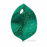 Oli & Carol - Baby Beißring aus Naturkautschuk - Baby Geschenk 0 3 6 Monate 1 Jahr - Chlorophyll Blatt