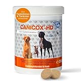 NutriLabs Canicox-HD Gelenktabletten für Hunde 140 Stk. - mit MSM, Chondroitin, Hyaluronsäure, Glucosamin & Teufelskralle - Gesundheitsprodukte für Hunde - Nahrungsergänzungsmittel Hund