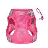 Reflektierendes Hundegeschirr, kein Ziehen, Westenseile, verstellbares Sicherheitsgeschirr mit Zugseil, einfache Kontrolle, Haustier-Trainingsbedarf, ideal für Outdoor-Aktivitäten und Spaziergänge