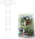 Rankgitter für Kletterpflanzen, rostfreier vertikaler Stützkäfig für Reben und Blumen, Blumenständer für den Außenbereich