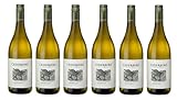 6x 0,75l - 2024er - Cederberg - Sauvignon Blanc - Cederberg W.O. - Südafrika - Weißwein trocken
