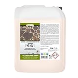 Lorito Gehweg- und Terrassenplattenreiniger, 10 Liter Konzentrat, Alkalisch, gegen Ablagerungen und Schmutz, zur Reinigung von Hauswänden, Gehweg-Platten, Holzzäune und Fassaden
