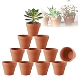Abiemuce 10 Stück 10 X 8 cm Tontöpfe Klein mit Abflussloch, DIY Tontöpfe Klein zum Basteln Wiederverwendbar Terrakotta Topf für Pflanzen für Wohnung und Büro - Tontopf Blumentopf (10pcs-10x8)