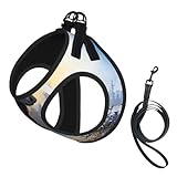 Animal Northern Elch Print Hundegeschirr und Leine, Set, reflektierend, verstellbar, Welpenweste für kleine, mittelgroße und große Hunde, Katzen