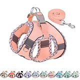 AIITLE Hundegeschirr und Leine Set, No Pull Step in Welpengeschirr mit super atmungsaktivem Mesh, verstellbare Welpen Essentials für Outdoor-Gehen, Training für kleine Hunde, Katzen Rosa XS