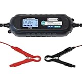 LODCHAMP, 4A Intelligentes Batterieladegerät, 6V/12V KFZ Ladegerät, Erhaltungsladegerät mit Desulfator und Polklemmen