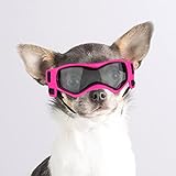 Enjoying Kleine Hundebrille UV-Schutz Winddicht Beschlagfrei Hündchen Brille für Haustierbrillen Weicher Rahmen, Rosa
