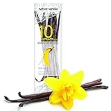 Native Vanilla - Tahitianische Vanilleschoten für Vanilleextrakt 10 Stück 11-14cm hochwertige Schoten.