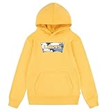 Levi´s ® Kids Batwing Fill Hoodie 5 Years