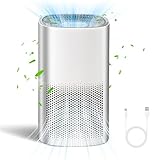 Luftreiniger H13 HEPA Filter Ionisator Raumluftreiniger Allergiker 99,97% Pollen