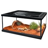 waazoorep Terrarienbecken für Reptilien, Glas, 30,5 x 20,3 x 15,2 cm, kleiner Käfig, Vollsicht mit Belüftung oben, für Vogelspinne, Frosch, Gecko, Insekten, Spinnen, Schlangen, Einsiedlerkrebse,