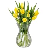KONZEPT Blumenvase Glas 18 cm Hoch, ⌀ 11 cm, Vase für Tulpen Durchsichtig, Spülmaschinenfest - Kleine Vase für Tischdeko bei Hochzeiten & Partys