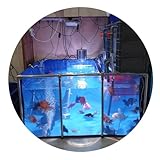 DECAKE Aquarium-Poolteich, Fischteich aus PVC-Segeltuch mit Stahlrahmen, klares Sichtfenster, großer Raum – Koi-/Goldfischzucht, Garten im Freien (Farbe: Blau, Größe: 150 x 100 x 71 cm)