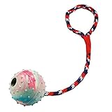 Kerbl Pet 83496 Ball am Seil, Mehrfarbig, 1 Stück (1er Pack)