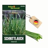 Schnittlauch Medium Leaf Samen - Allium schoenoprasum - Schnittlauchsamen - Kräutersamen - Saatgut für 300 Pflanzen